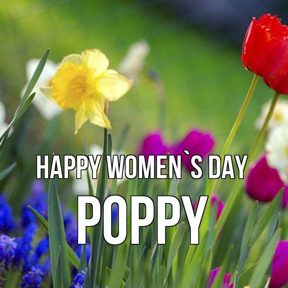 Greetings card с именем, Poppy happy women`s day международный женский день 3 Greetings with text for free download 
